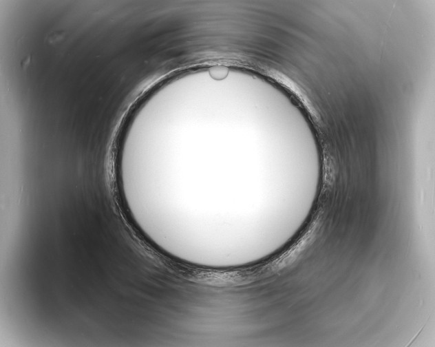 X0000093601074200710150953