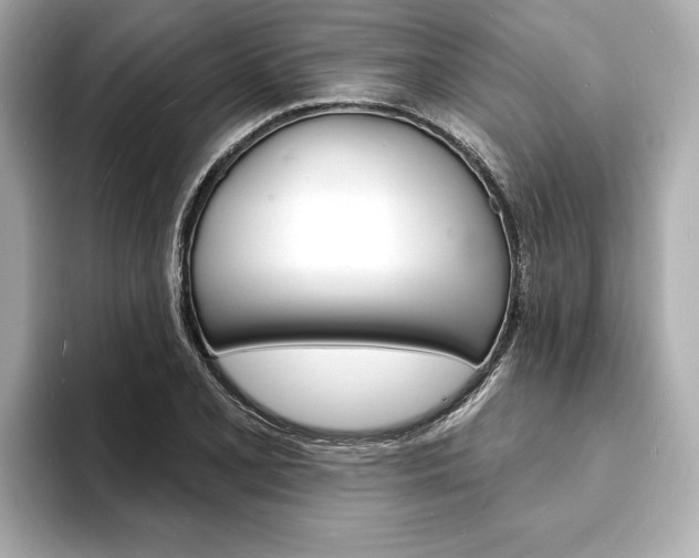 X0000093601077200710150953