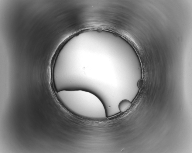 X0000093601079200710150953