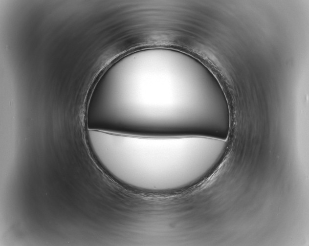 X0000093601081200710150953