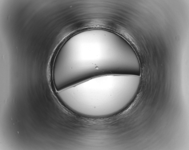 X0000093601082200710150953