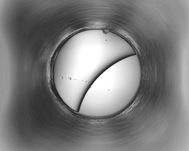 X0000093601083200710150953