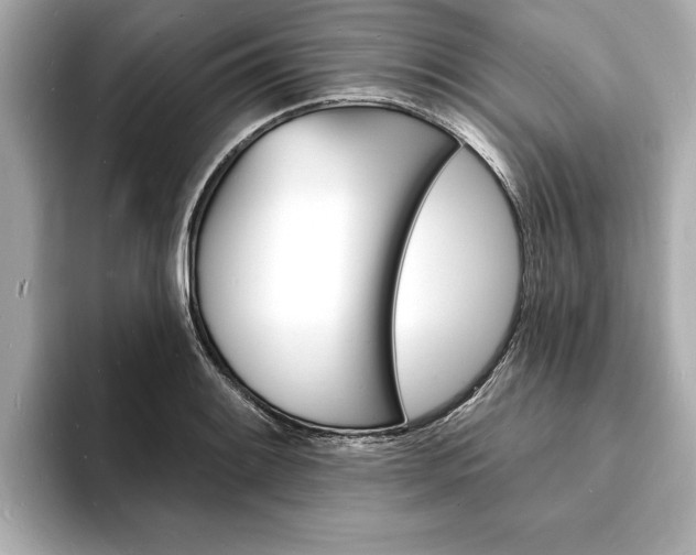 X0000093601084200710150953