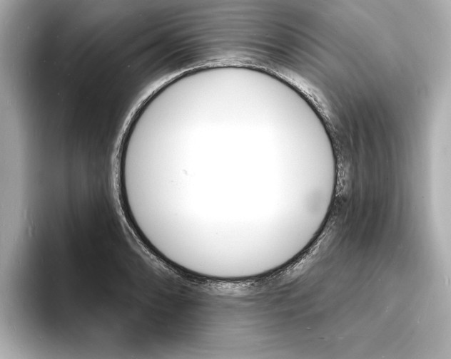 X0000093601086200710150953