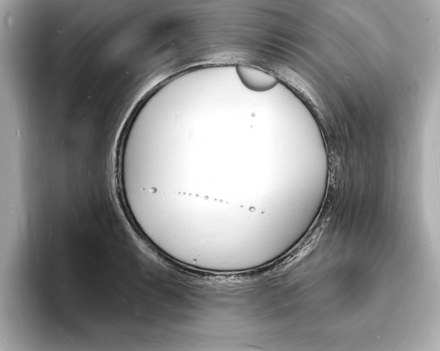 X0000093601087200710150953