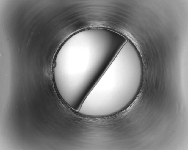 X0000093601089200710150953