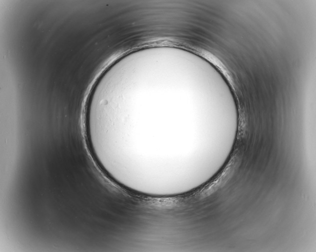 X0000093601090200710150953