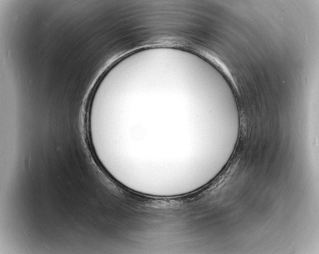 X0000093601091200710150953