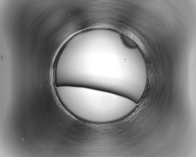 X0000093601092200710150953