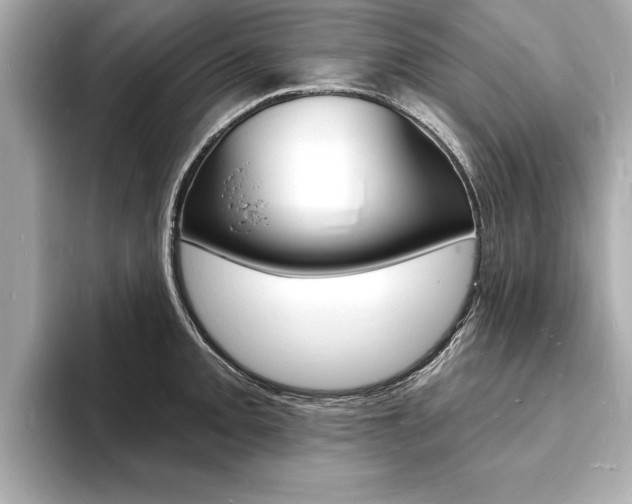 X0000093601093200710150953