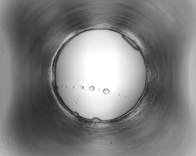 X0000093601095200710150953