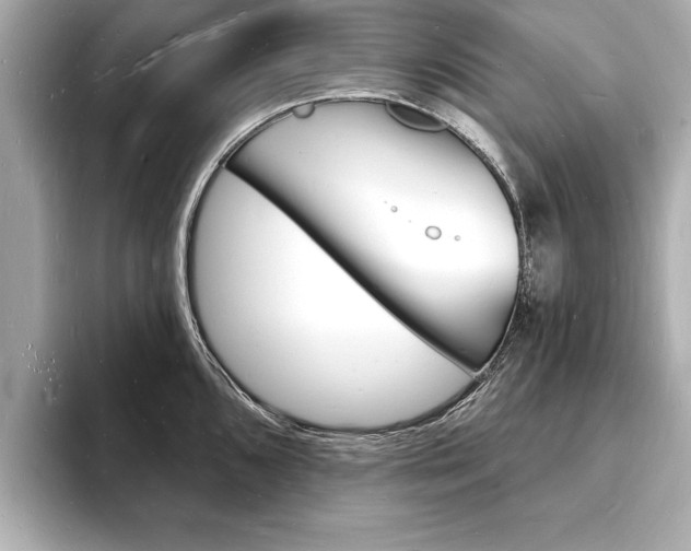 X0000093601096200710150953