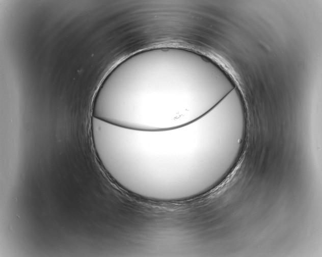 X0000093601097200710150953