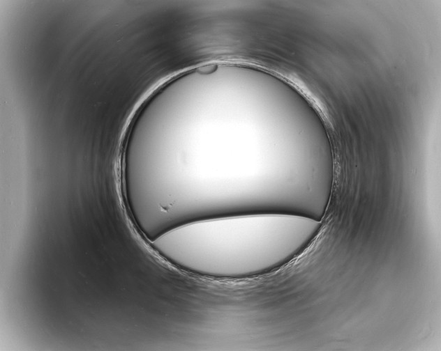 X0000093601100200710150953