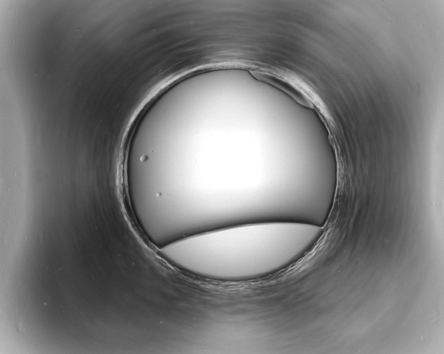 X0000093601101200710150953