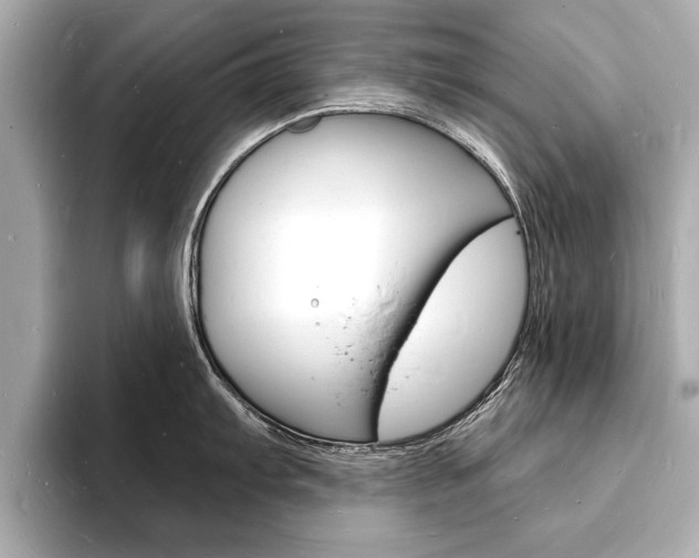 X0000093601103200710150953