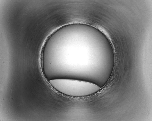 X0000093601104200710150953