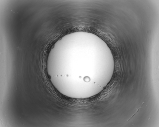 X0000093601105200710150952