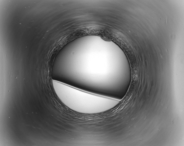 X0000093601108200710150952