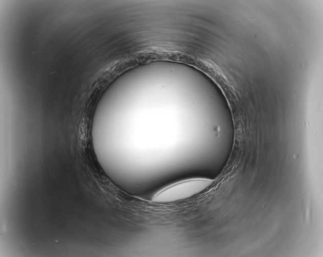 X0000093601110200710150952