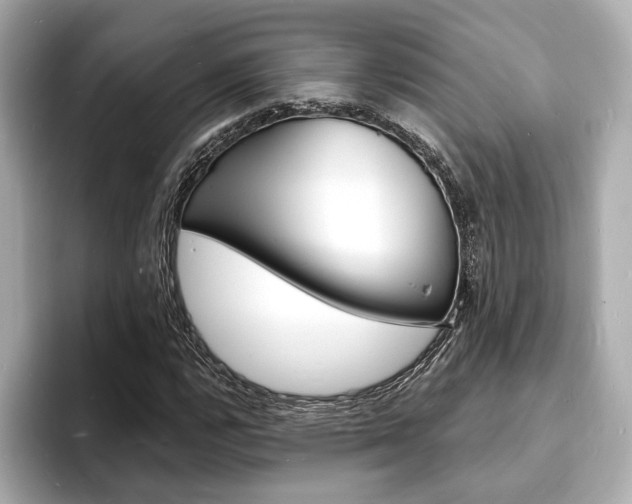 X0000093601112200710150952