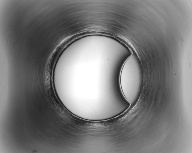 X0000093601115200710150952