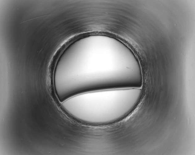 X0000093601118200710150953