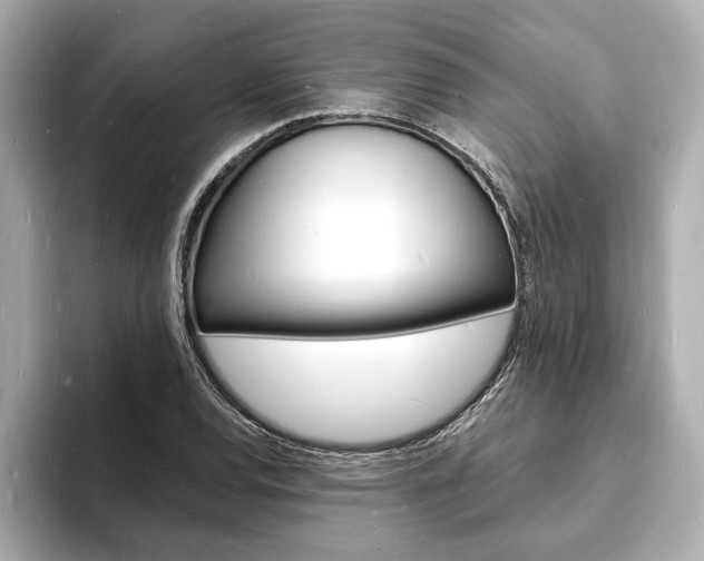 X0000093601120200710150953