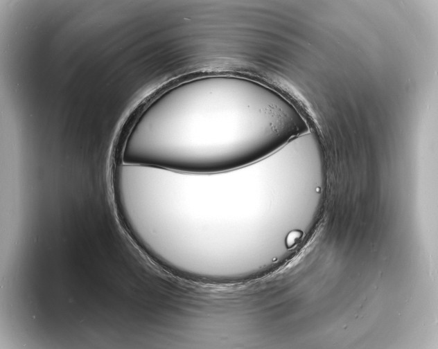 X0000093601122200710150953