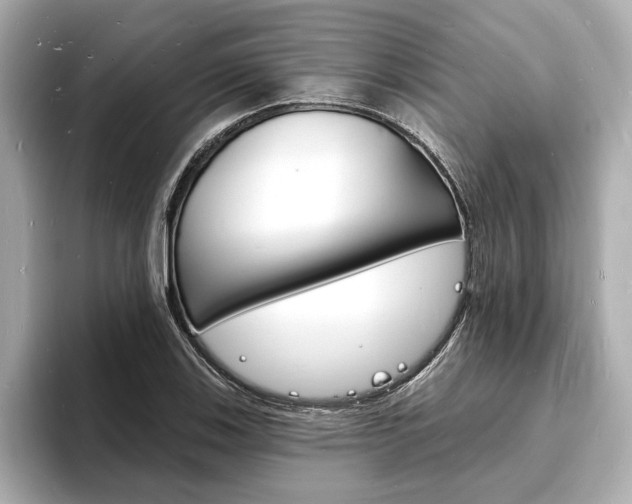 X0000093601123200710150953