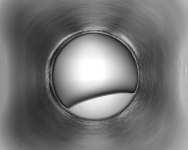 X0000093601124200710150953