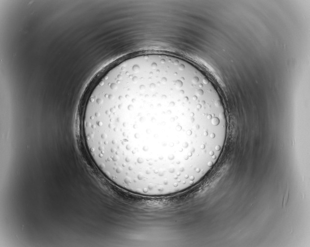 X0000093601125200710150953