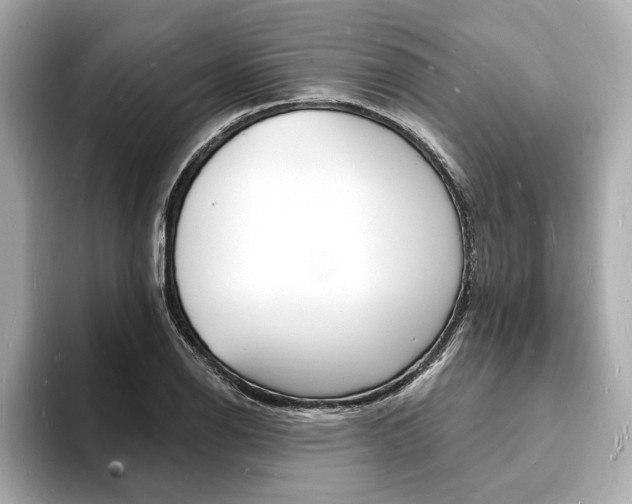 X0000093601126200710150953