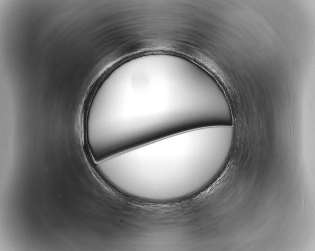 X0000093601127200710150953