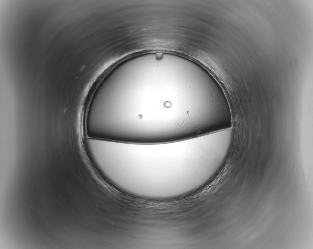 X0000093601128200710150953