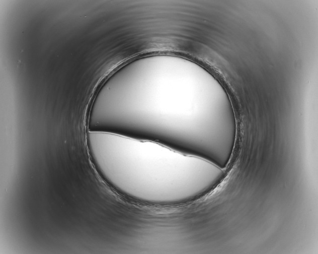 X0000093601129200710150953