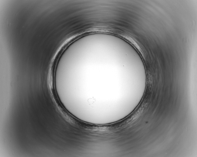 X0000093601131200710150953