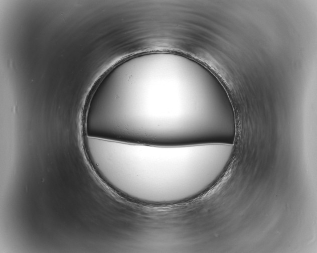 X0000093601134200710150953