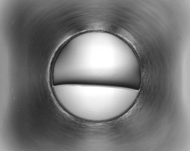 X0000093601135200710150953