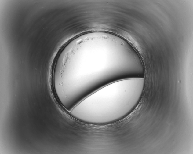 X0000093601136200710150953