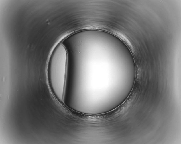 X0000093601138200710150953