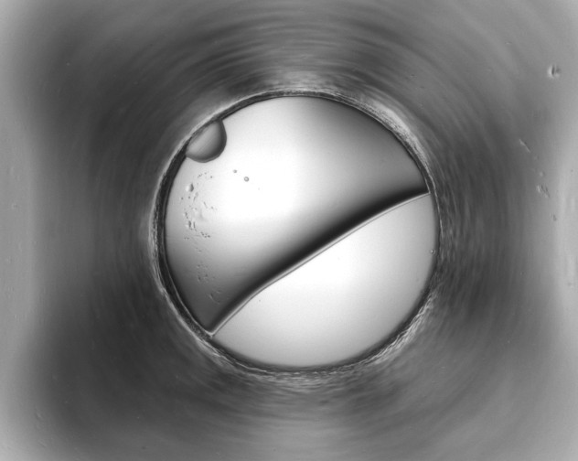 X0000093601141200710150953