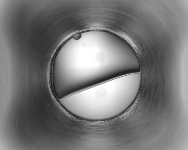 X0000093601142200710150953