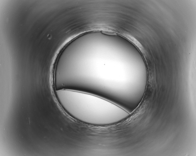 X0000093601144200710150953