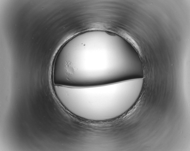 X0000093601146200710150953