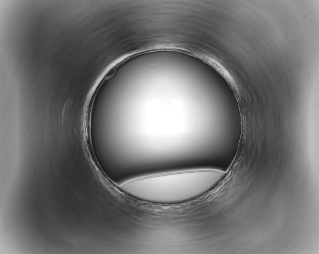 X0000093601148200710150953