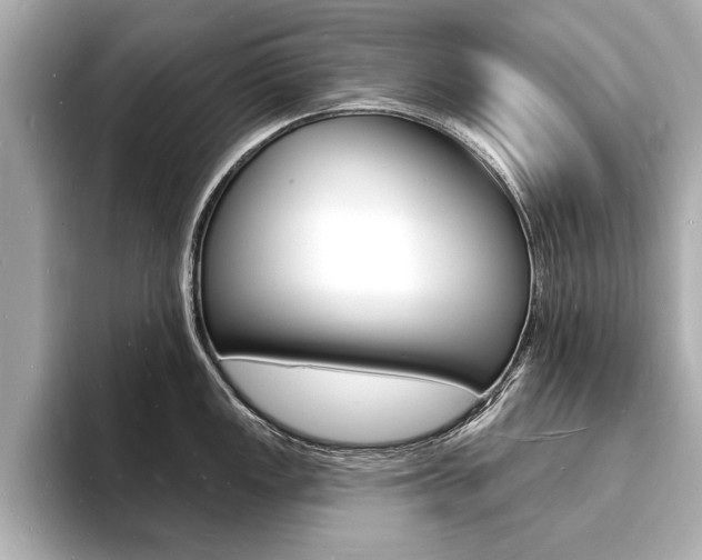 X0000093601149200710150953