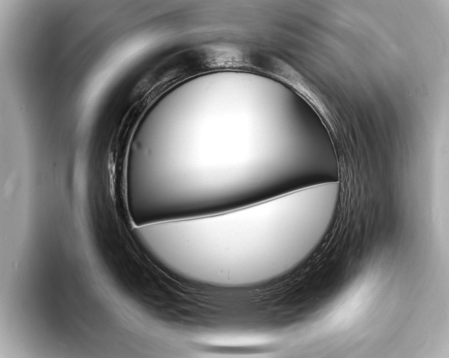 X0000093601151200710150953