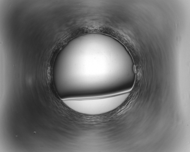X0000093601156200710150952