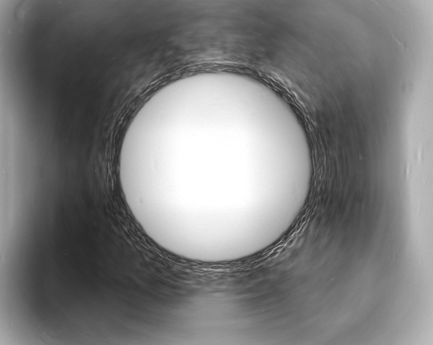 X0000093601157200710150952